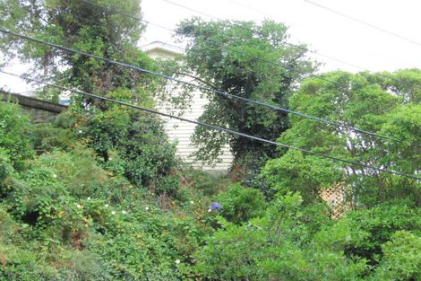 Photo of property in 14 Lincoln Street, Brooklyn, Wellington, 6021