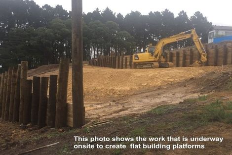 Photo of property in 249a Lonely Track Road, Albany Heights, Auckland, 0632