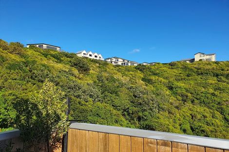 Photo of property in 100e Karepa Street, Brooklyn, Wellington, 6021