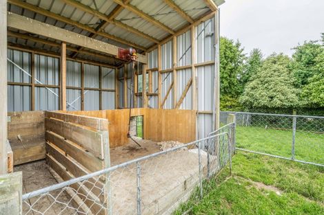 Photo of property in 444a O'shannessy Road, Lochiel, Winton, 9781