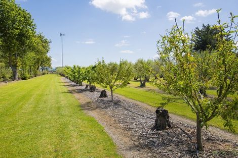 Photo of property in 144 Makaraka Road, Makaraka, Gisborne, 4071