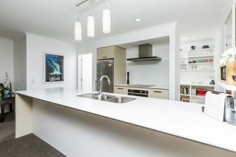 Photo of property in 9 Langdale Drive, Richmond, 7020