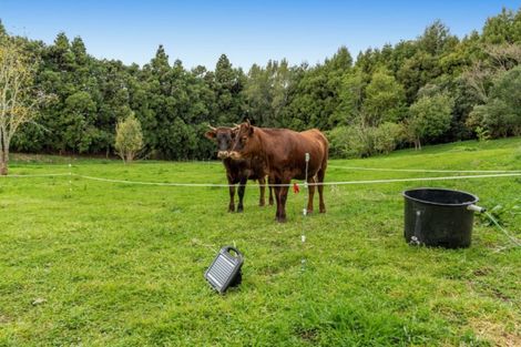 Photo of property in 121b Plummers Point Road, Whakamarama, Tauranga, 3172