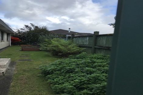 Photo of property in 41 Heron Avenue East, Matua, Tauranga, 3110
