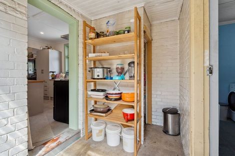 Photo of property in 3 Helena Street, Forbury, Dunedin, 9012