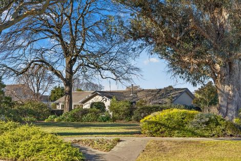 Photo of property in 6 Acorn Close, Waltham, Christchurch, 8023