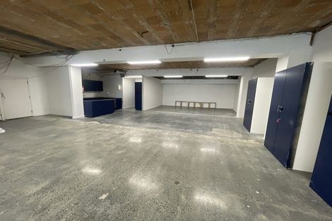 Photo of property in 16 Kent Terrace, Mount Victoria, Wellington, 6011