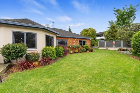 Photo of property in 25 Elizabeth Avenue, Morrinsville, 3300