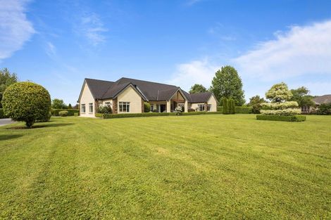 Photo of property in 36 Everad Avenue, Matamata, 3472