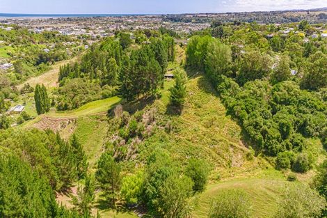 Photo of property in 50 Shakespeare Road, Bastia Hill, Whanganui, 4500