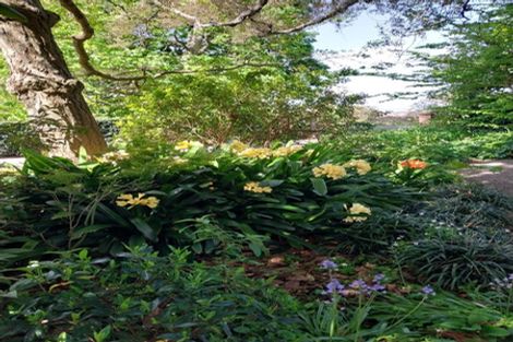 Photo of property in 23 Lee Road, Burbush, Hamilton, 3289