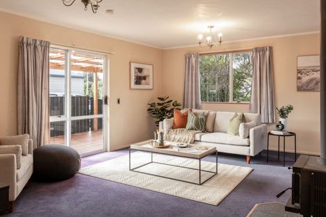 Photo of property in 43 Ferry Road, Spring Creek, 7202