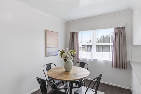 Photo of property in 3 Selwyn Street, Levin, 5510