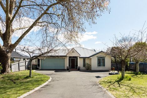 Photo of property in 3 Alexandra Grove, Richmond, 7020