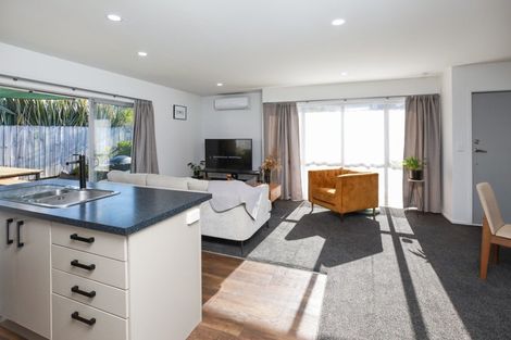 Photo of property in 11a Carey Street, Maeroa, Hamilton, 3200