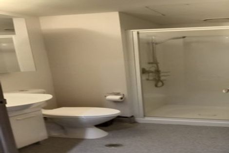 Photo of property in Dual Apartments, 108/142 Vivian Street, Te Aro, Wellington, 6011