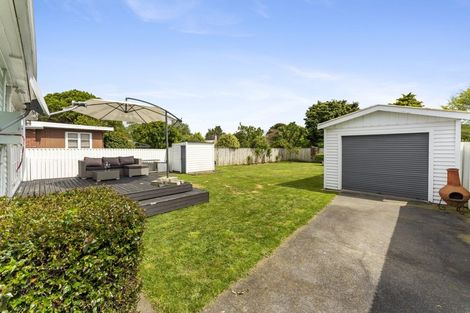 Photo of property in 57 Manson Street, Terrace End, Palmerston North, 4410