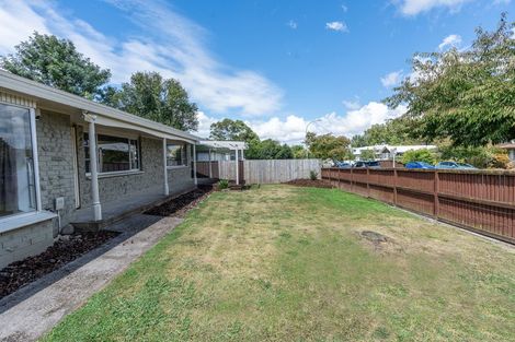 Photo of property in 37 Alison Street, Hamilton Lake, Hamilton, 3204