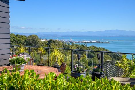 Photo of property in 13 Chamerion Way, Atawhai, Nelson, 7010