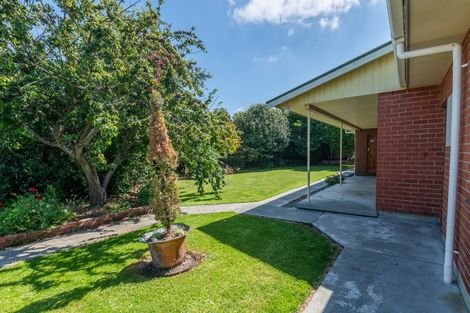 Photo of property in 77 Oak Grove, Ashburton, 7700