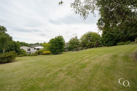 Photo of property in 47 Bell Street, Judea, Tauranga, 3110