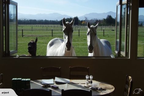 Photo of property in 298 Birch Hill Road, Okuku, Rangiora, 7473