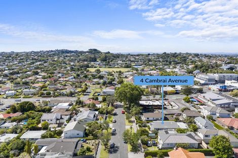 Photo of property in 4 Cambrai Avenue, Mount Roskill, Auckland, 1041