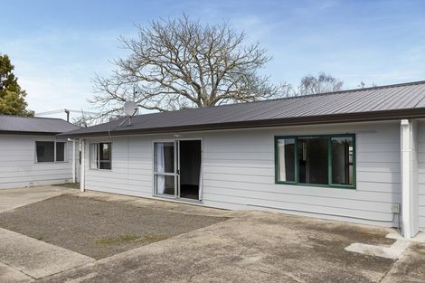 Photo of property in 2/3 Harris Street, Te Puke, 3119