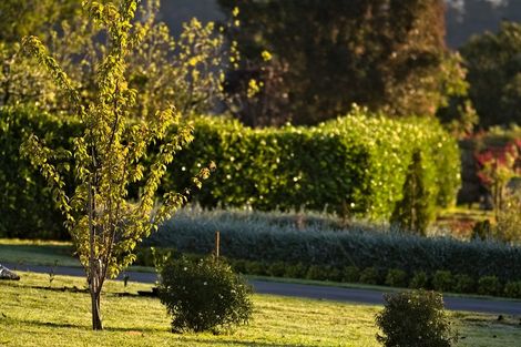 Photo of property in 21 Te Karaka Drive, Te Puna, Tauranga, 3174