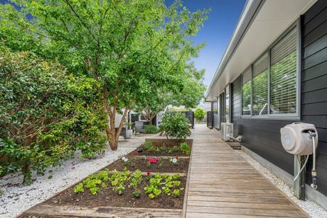 Photo of property in 8b Cook Drive, Whitianga, 3510