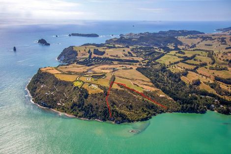 Photo of property in 404a Lees Road, Hahei, Whitianga, 3591