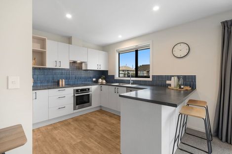 Photo of property in 30 Willow Street, Hampstead, Ashburton, 7700