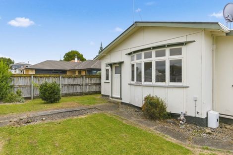 Photo of property in 131 Winchester Street, Levin, 5510