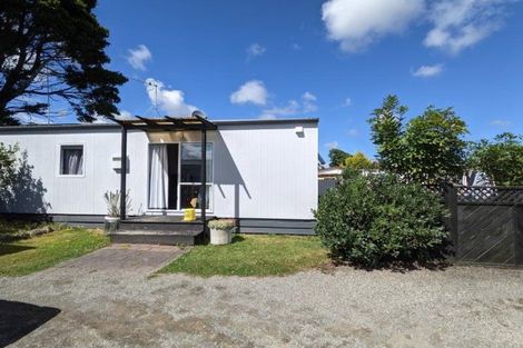 Photo of property in 7 Saxton Street, Levin, 5510