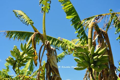 Photo of property in 354 Linton Road, Maungaturoto, 0583