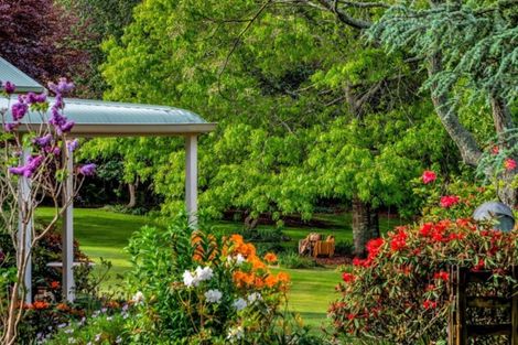 Photo of property in 16 Plane Tree Lane, Tauriko, Tauranga, 3110