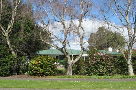 Photo of property in 31 Milne Street, Marton, 4710