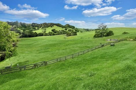 Photo of property in 151c Mangawhai Road, Wellsford, 0975