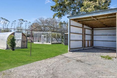 Photo of property in 1334 Riversdale Waikaia Road, Waiparu, Gore, 9777