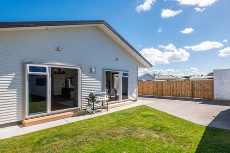 Photo of property in 50a Winchester Street, Levin, 5510