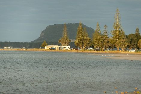 Photo of property in 71a Matua Road, Matua, Tauranga, 3110