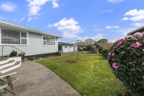 Photo of property in 95 Stanners Street, Eltham, 4322