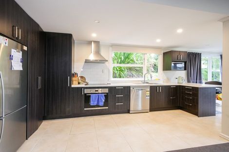 Photo of property in 2 Taine Street, North East Valley, Dunedin, 9010