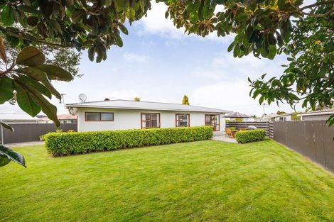 Photo of property in 63 Sherwill Street, Feilding, 4702