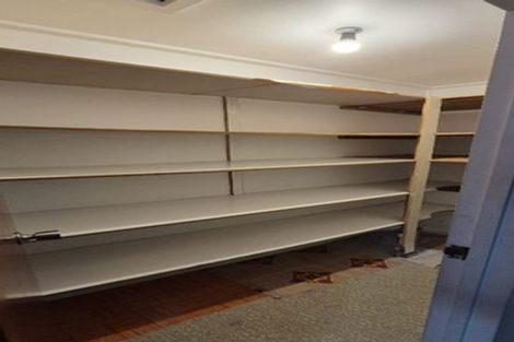 Photo of property in 3 Griffen Park Road, Mount Roskill, Auckland, 1041