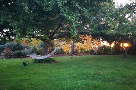 Photo of property in 17 Amber Lane, Karapiro, Cambridge, 3494