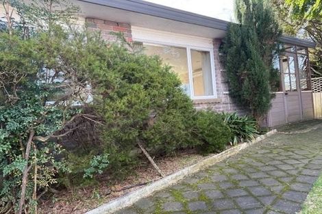 Photo of property in 737a Cameron Road, Tauranga South, Tauranga, 3112