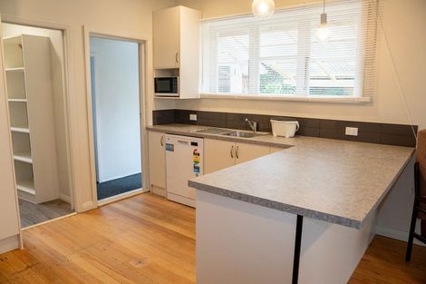 Photo of property in 11 Greenhill Avenue, Wakari, Dunedin, 9010