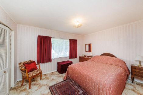 Photo of property in 144 Winchester Street, Ashhurst, 4810