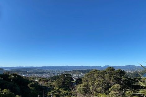 Photo of property in 100 Farnham Street, Mornington, Wellington, 6021